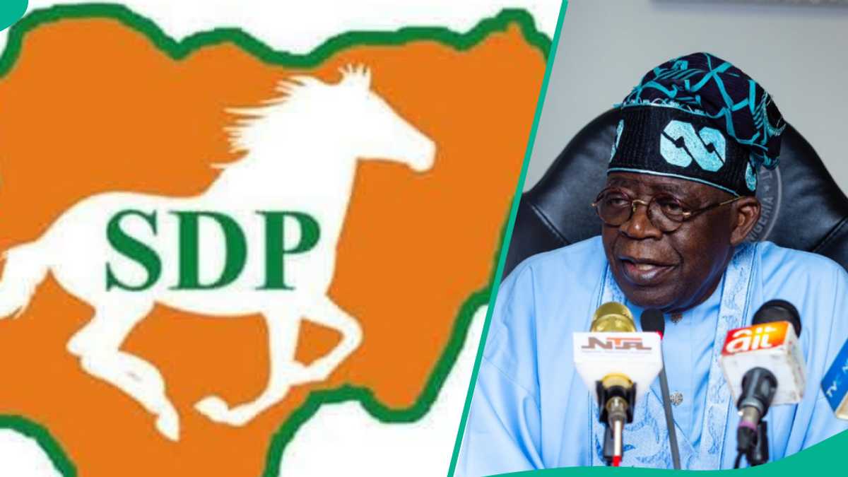 Jam'iyyar SDP Ta Zo da Sabon Shiri, Ta Saɓawa Atiku da El Rufai kan Kifar da Tinubu a 2027