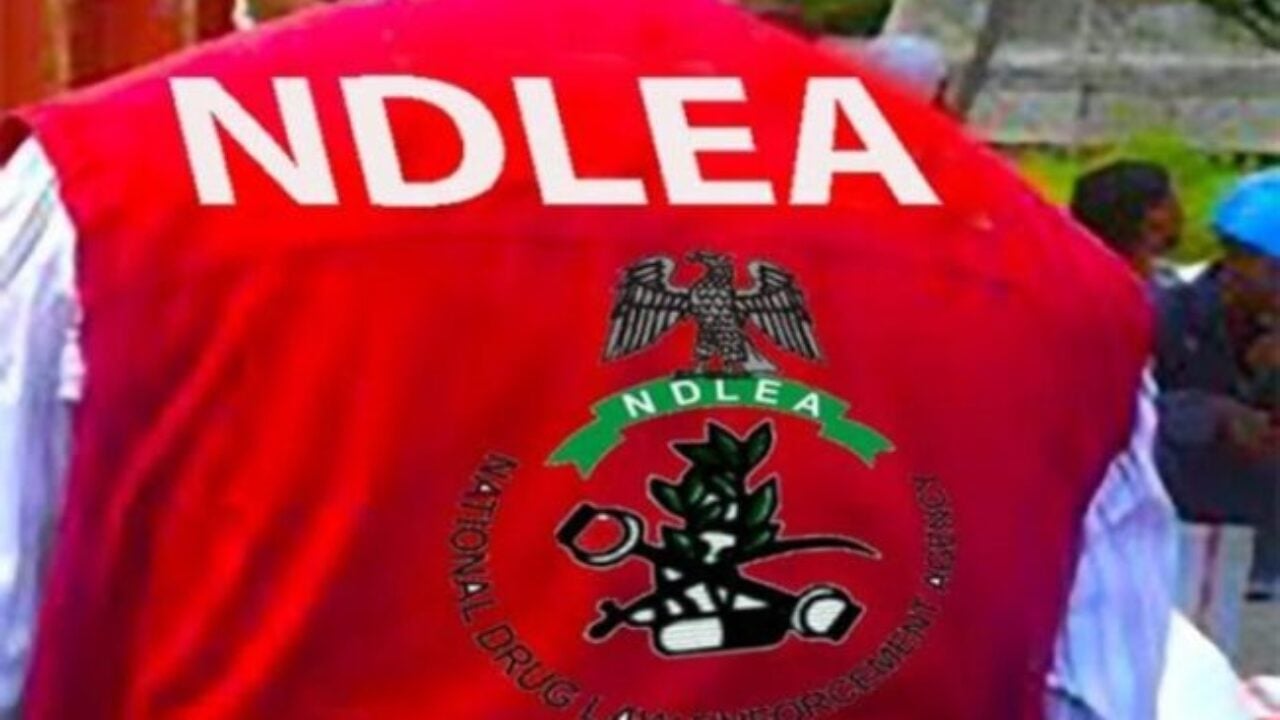 Join us tackle menace of drug abuse – NDLEA appeals to Nigerians 