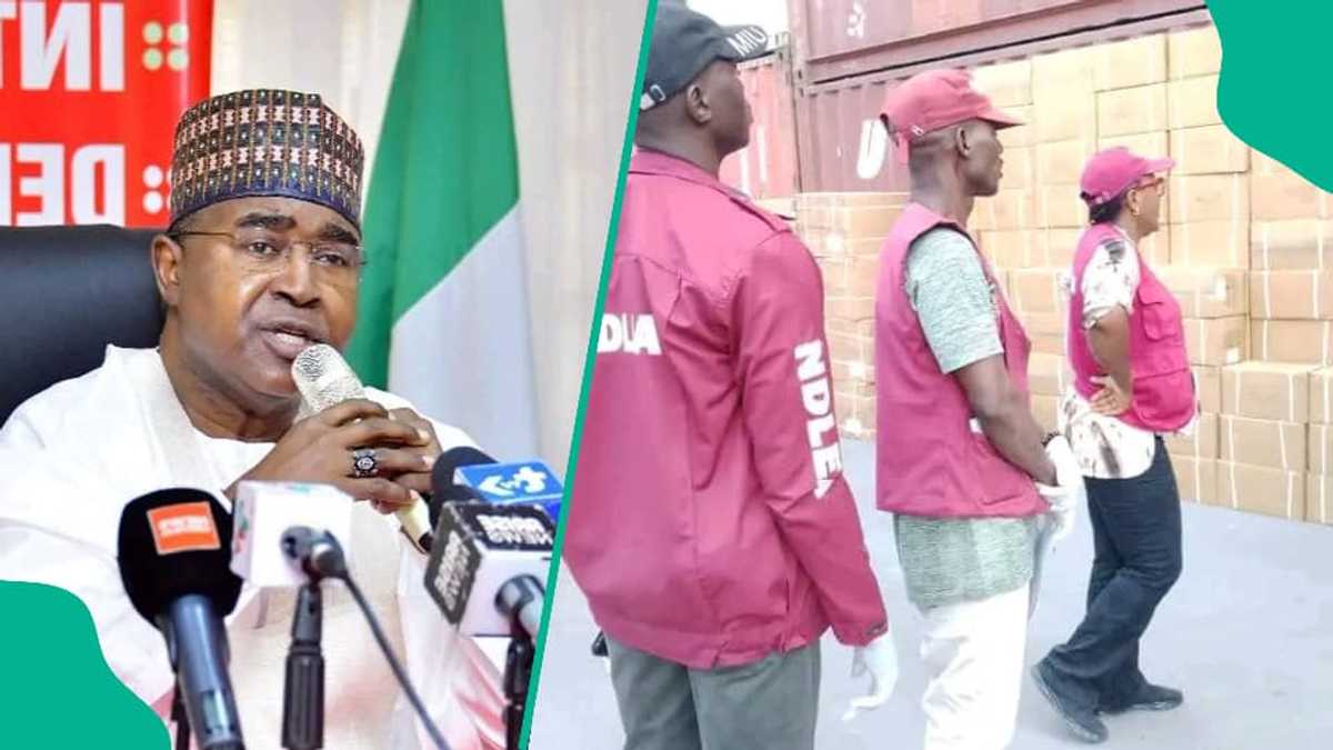 Kano: NDLEA Ta Yi Babban Kamu, Fitaccen Matashi Mai Safarar Kwayoyi, Ya Shiga Hannu