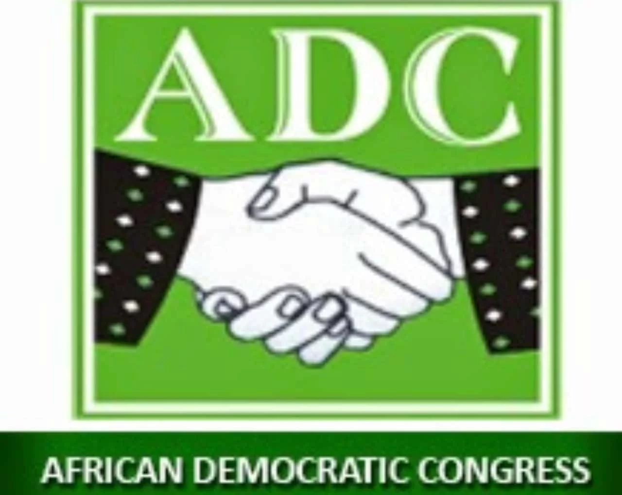 Kebbi 2027: We won’t cede party leadership to newcomers – ADC chairman