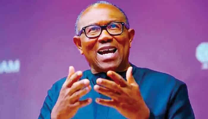 Nigeria Grappling With Unemployment, Underemployment - Peter Obi