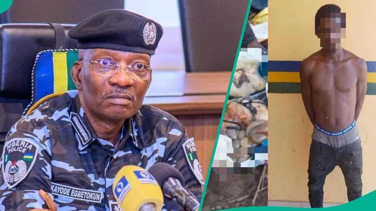 Lagos: End of Road For 25-Yr-Old Man as Police Nab Him With Severed Human Organs for Dark Rituals