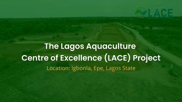 Lagos kicks off N10 billion aquaculture centre project in Epe
