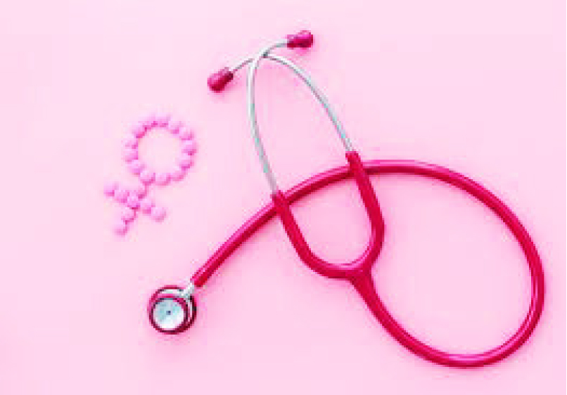 MamaBase Targets 10,000 Vulnerable Pregnant Women In Kaduna