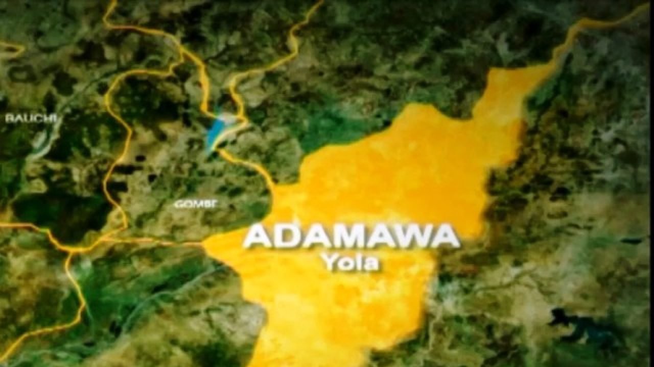Man nabbed for allegedly defiling 12-year-old boy, 2 girls in Adamawa