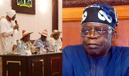 Miyetti Allah applauds Tinubu for establishing livestock ministry, urges states to follow suit