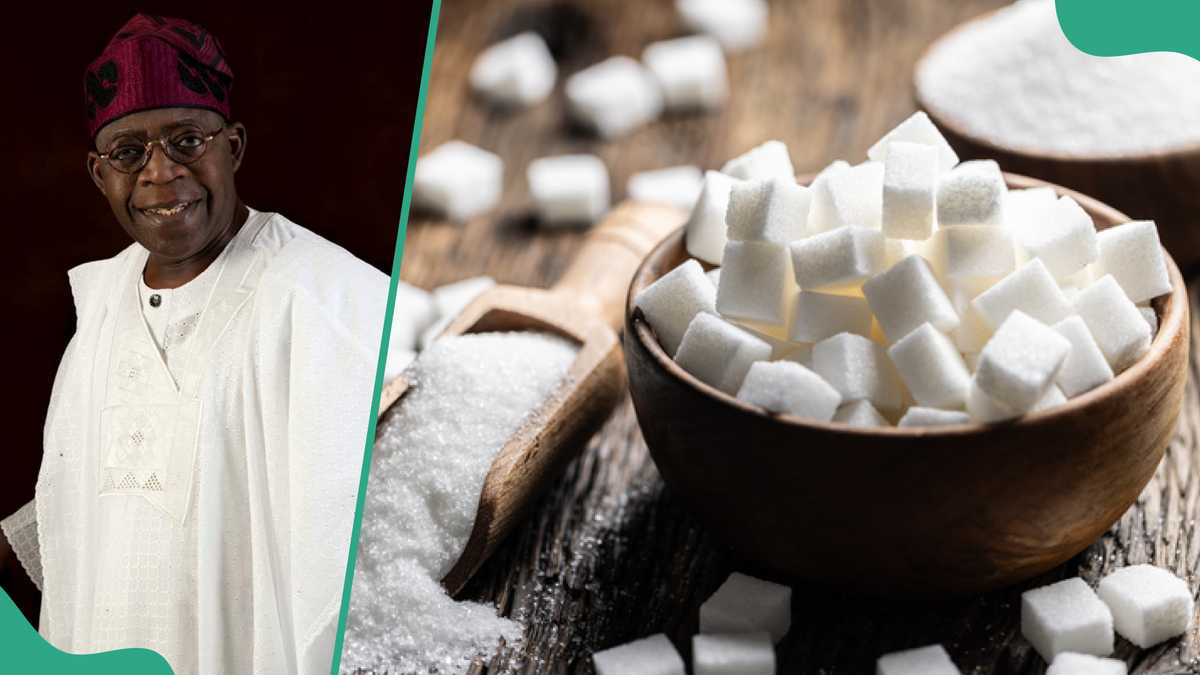More Employments for Nigerians as FG Launches New Nigeria Sugar Master Plan