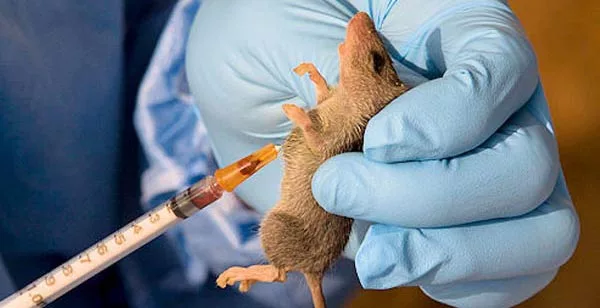 NCDC Confirms 138 Deaths, 717 Cases In 18 States