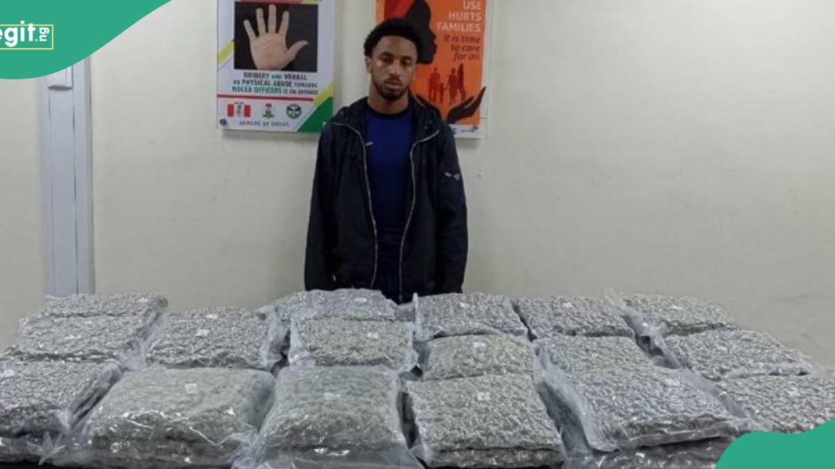 NDLEA Arrests Iran-bound Lady with Illicit Drugs in Private Part, British Ex-convict With Shipment