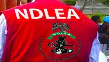 NDLEA Foils Multiple Drug Smuggling Plots, Recovers Explosives, Illicit Drugs Worth ₦3.4 Billion