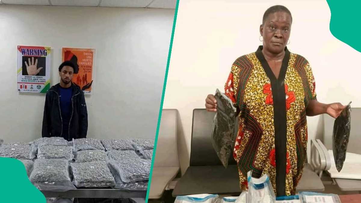 NDLEA Ta Yi Ram da Matar da Ta Boye Hodar Iblis a Al'aura da wasu Sassan Jikinta