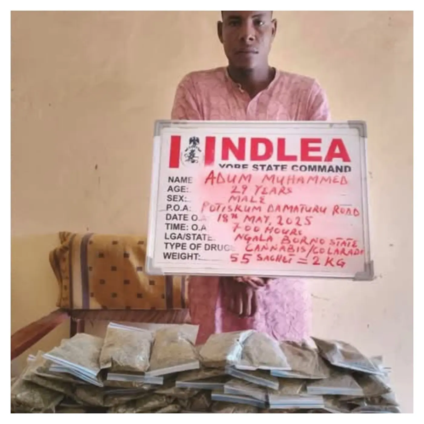 NDLEA intercepts 2kg of cannabis, arrests suspect in Yobe