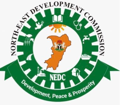 NEDC Targets Over 4,000 For Medical Outreach In Bauchi