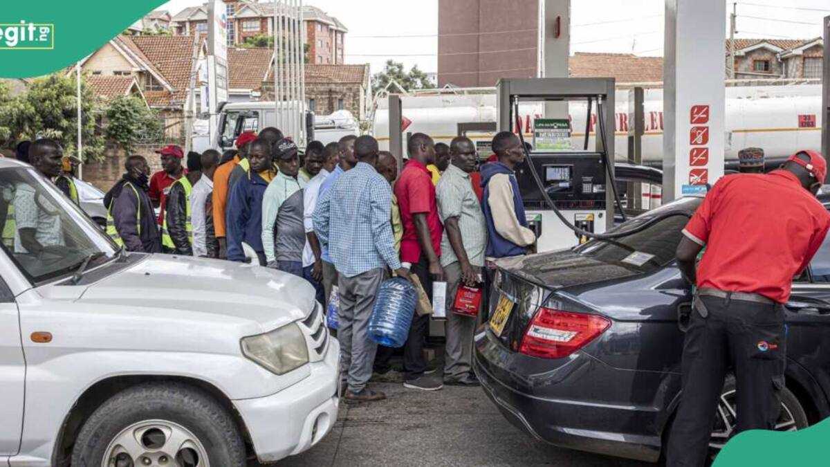 NIPCO, Ardova, Three Oil Firms Import 103,800mt of Petrol  as Landing Costs Rise Above Dangote Price
