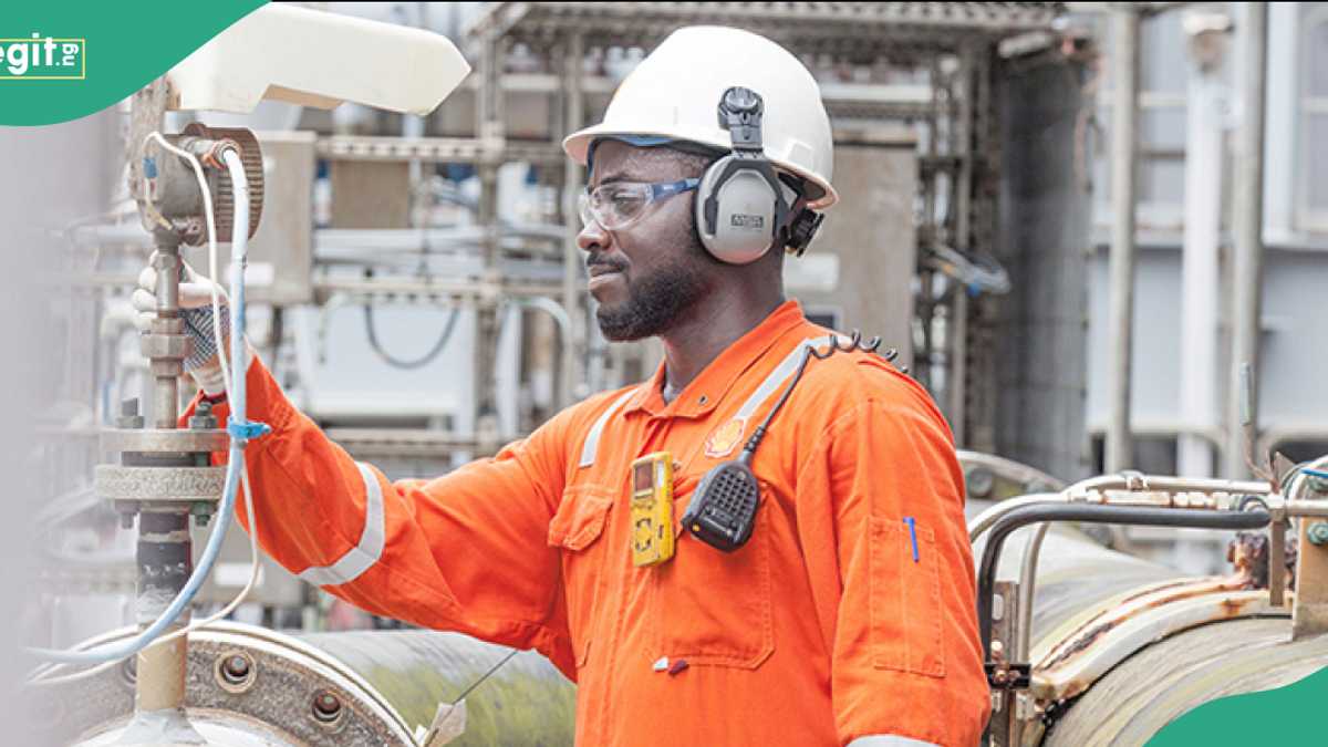 Nigeria Ranks Highest Recipient of Shell Payments Globally in 2024 at $5.34 Billion