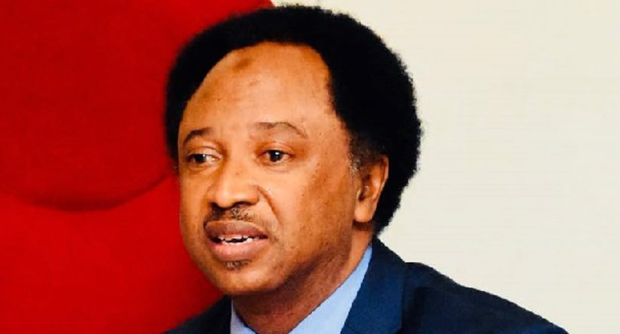 Nigeria needs improved action against terrorists, not summit — Shehu Sani