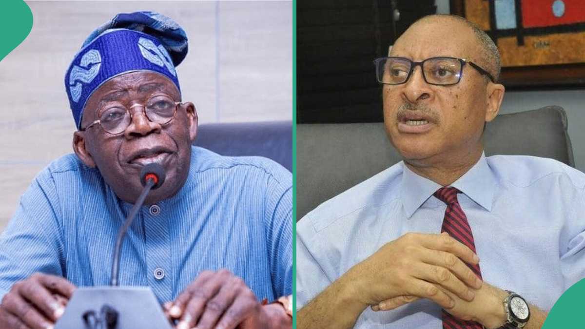 Pat Utomi Breaks Silence on Alleged Attempt to Overthrow Tinubu’s Govt, DSS Action