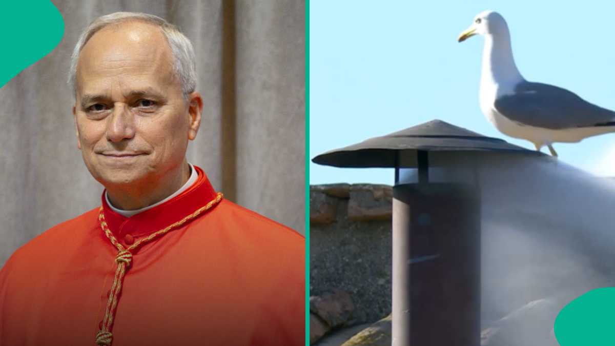 Pope Leo XIV: America's Robert Francis Prevost Elected Catholic Pope, First From The Country