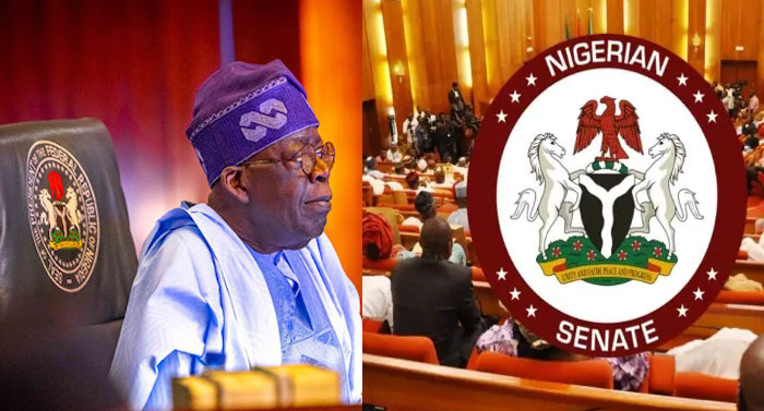 President Tinubu Asks Senate To Confirm SWDC, NCDC, SSDC Nominees- Newsone