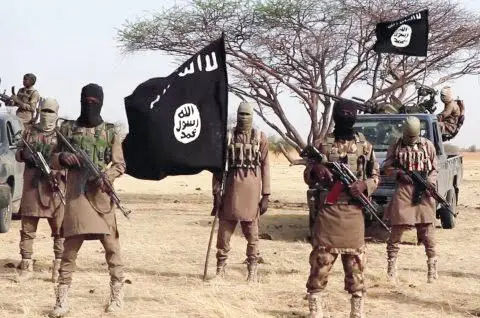 Reps decry rising Boko Haram attacks on military formations