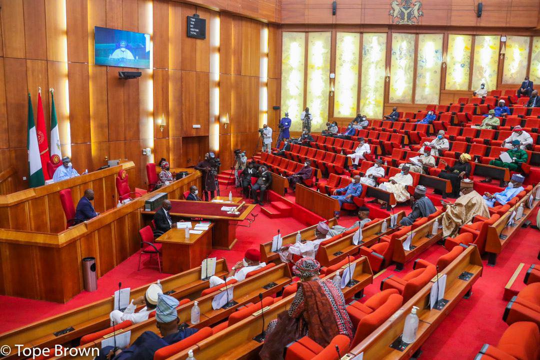 Senate reacts to viral Intimate video of 'Nigerian senator' with woman