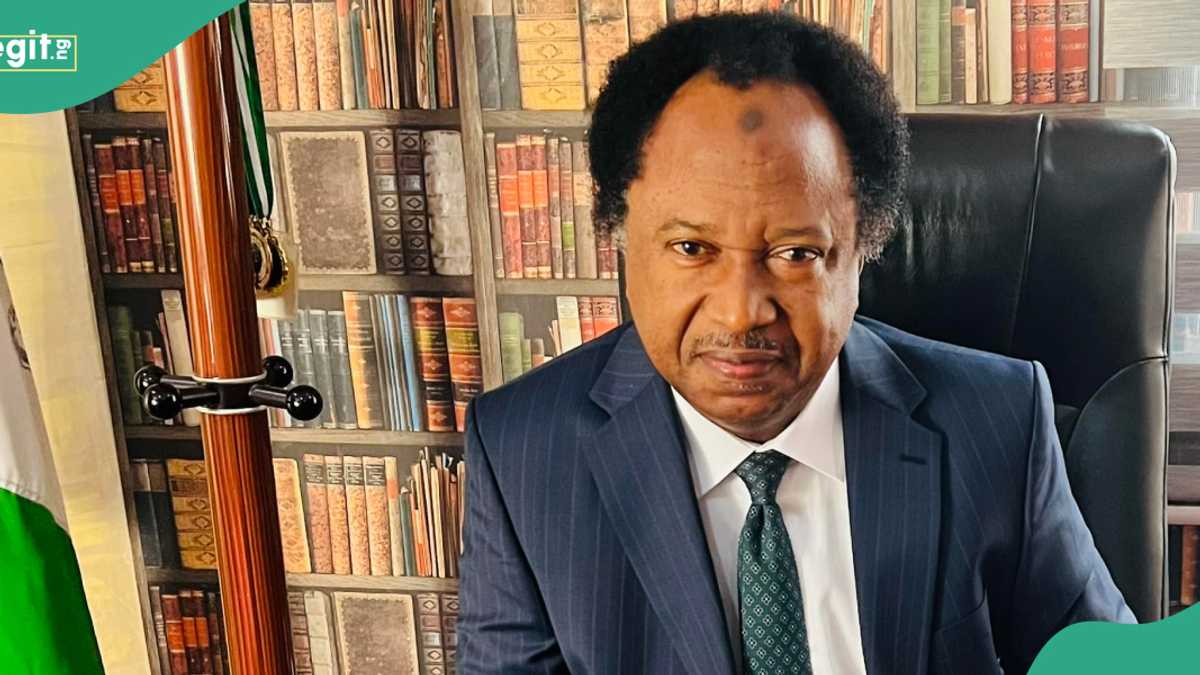 Shehu Sani Reacts As JAMB Admits 2025 UTME Errors, “Should Sheath their Swords”