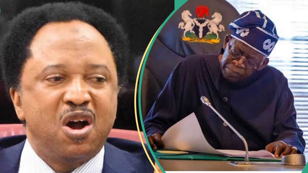 Shehu Sani Ya Yi Karatun Ta Natsu, Ya Gano Abin da zai Hana Tinubu Zarcewa a 2027