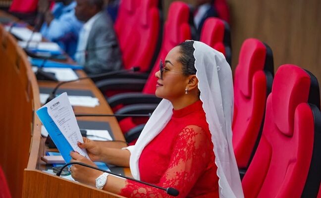 Tinubu Government Sues Senator Natasha Over Defamation- Newsone