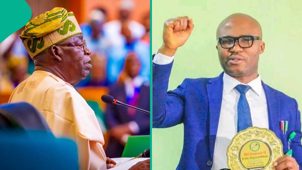 Tinubu Praised for "Merit-Based Appointments, Youth Inclusion" amid Claims of Lopsidedness