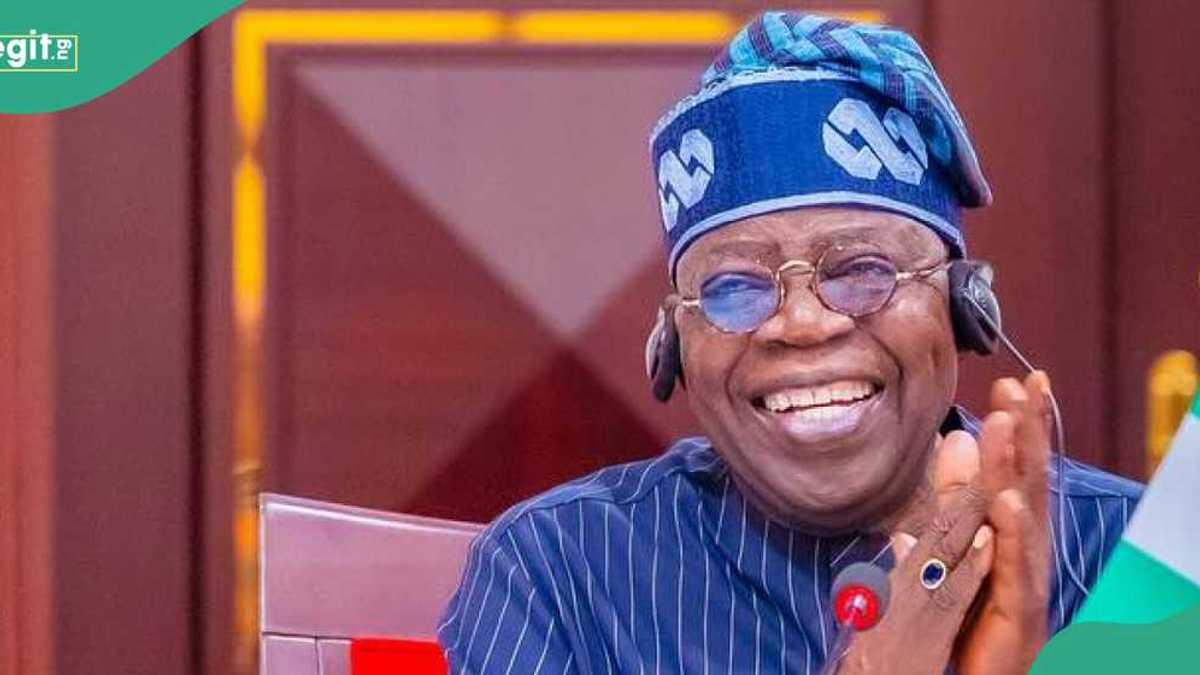 Tinubu's Renewed Hope: Jubilation as 8,000 Terrorists Killed