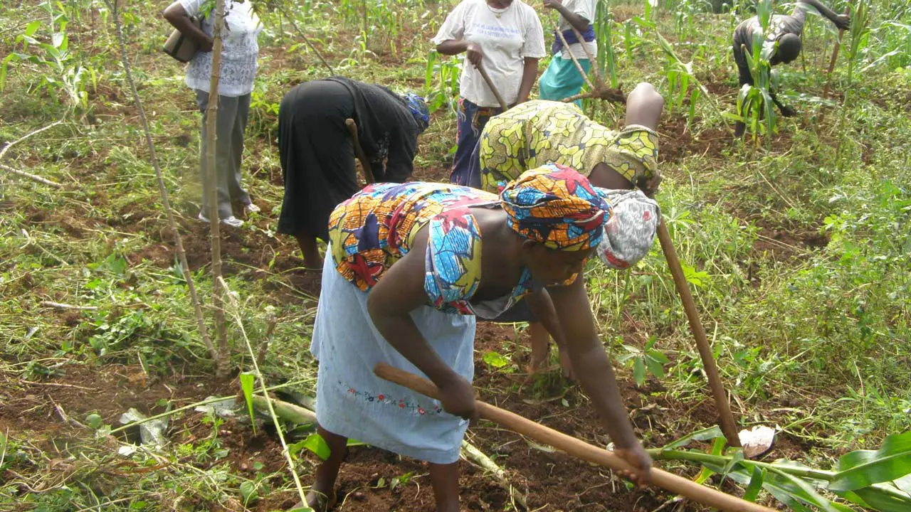 Tiv farmers protest alleged land seizure by Nasarawa government