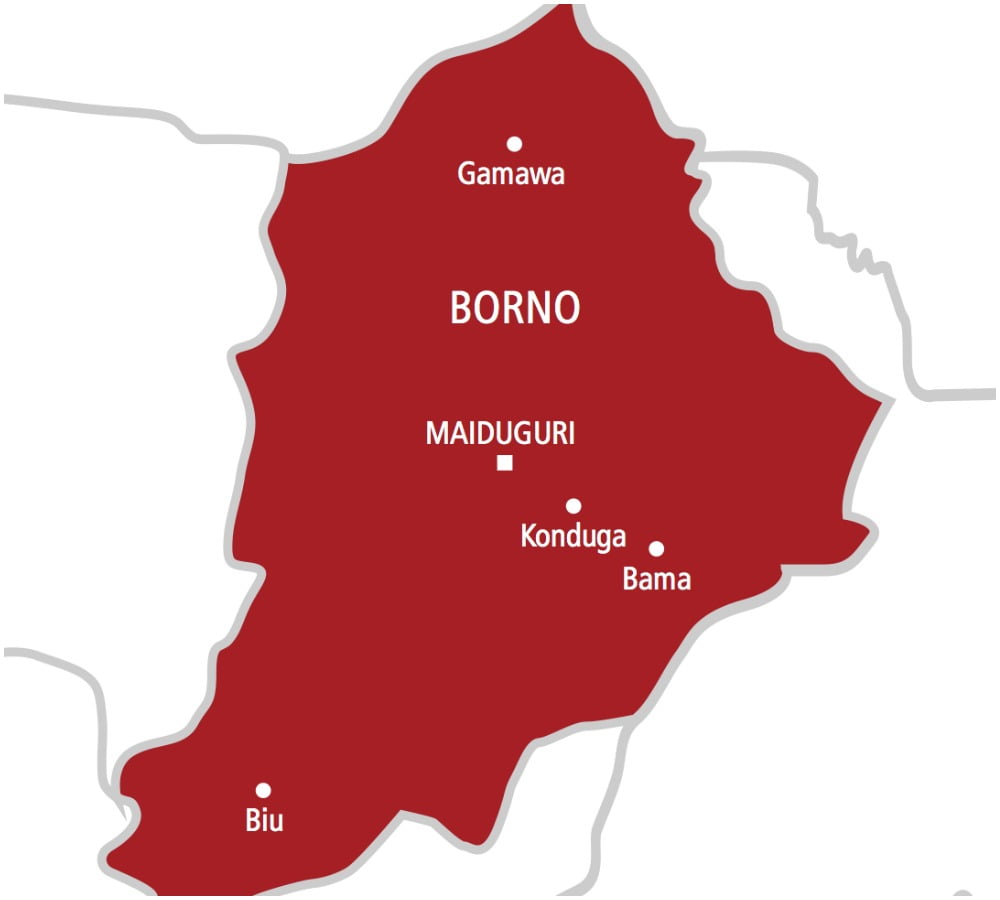 Troops kill five terrorists, rescue 38 family members in Borno