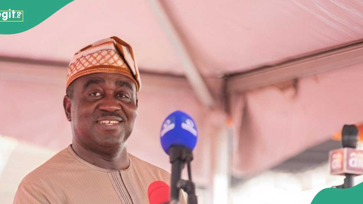 Tsohon Gwamnan PDP Ya Gano Abin da Zai Hana Jam'iyyar Rugujewa kafin 2027