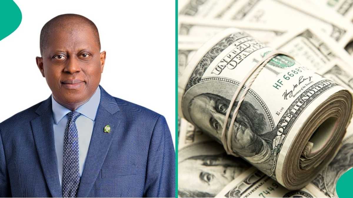 US to Impose Tax on Diaspora Remittances as CBN Launches Non-Resident BVN Platform for Nigerians