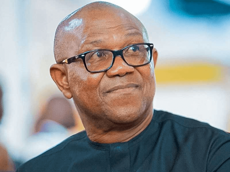 VeryDarkMan/Seyi Tinubu: There Are Serious Concerns About Direction Of Democracy In Nigeria - Peter Obi