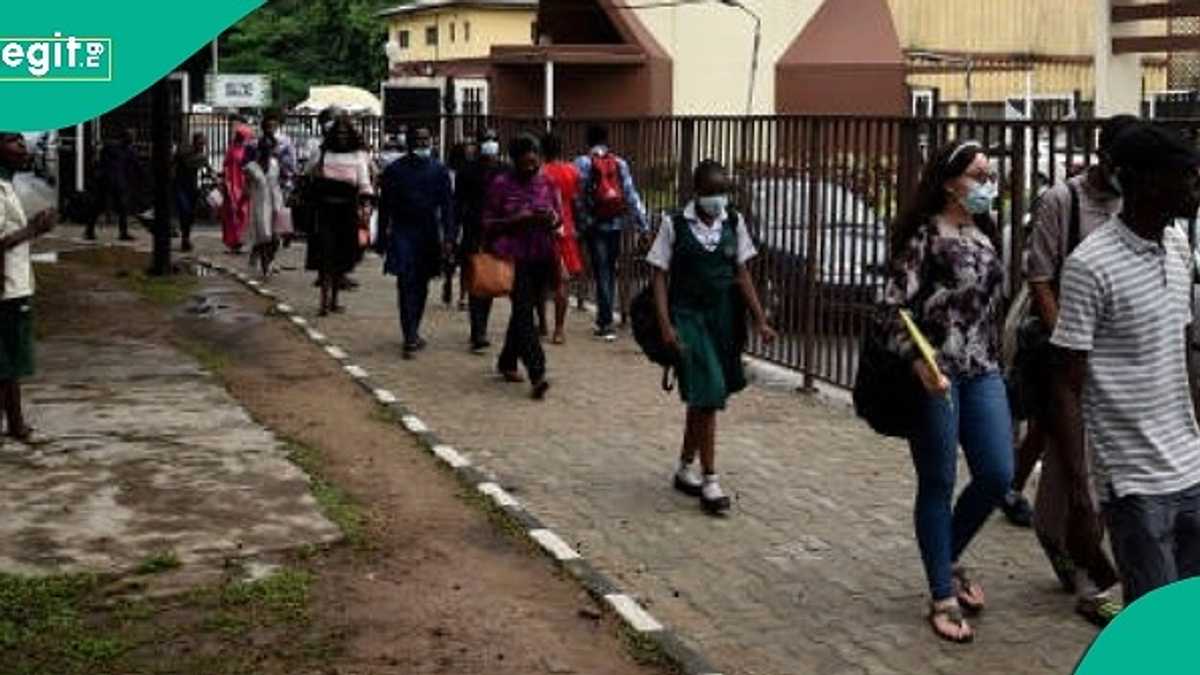 Video Shows UNIBEN Students Chasing after Lecturer Who Refused to Take Their Scripts after Test