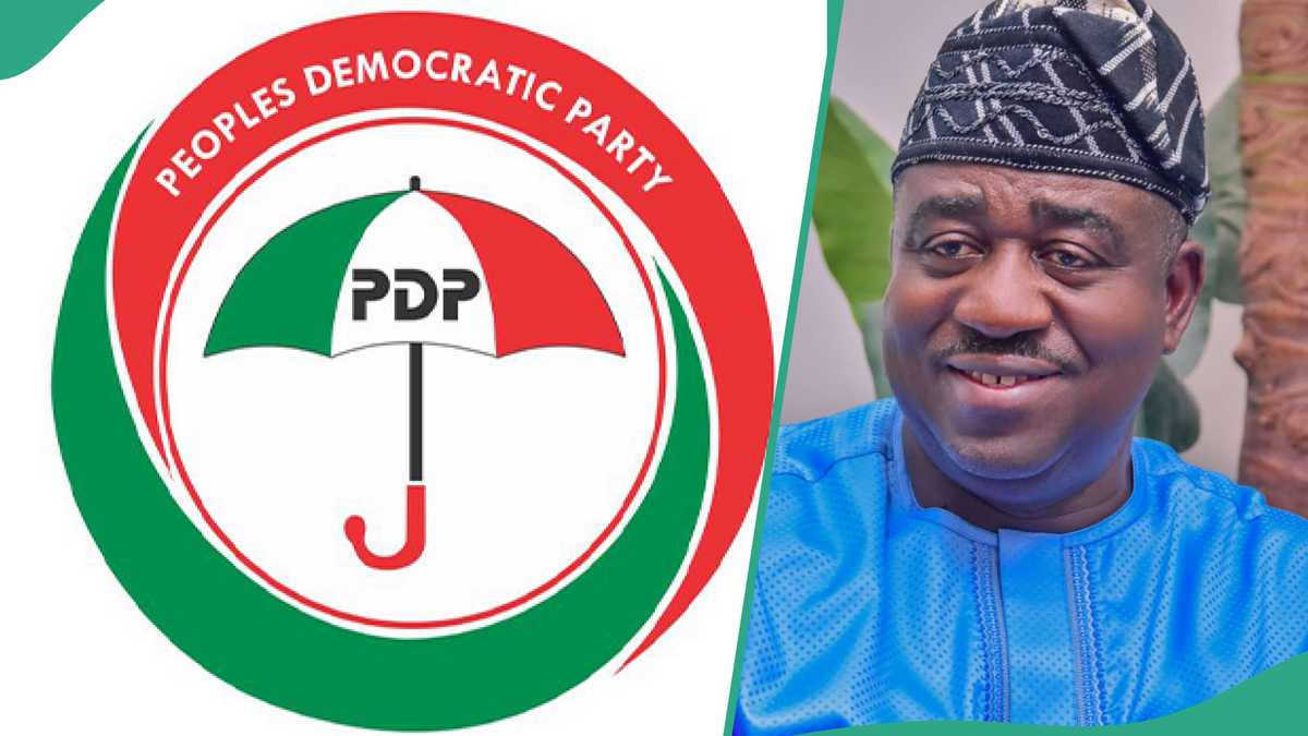 'What Will Happen To PDP If Saraki's Effort Fails': Former Governor Speaks on PDP Unending Crisis
