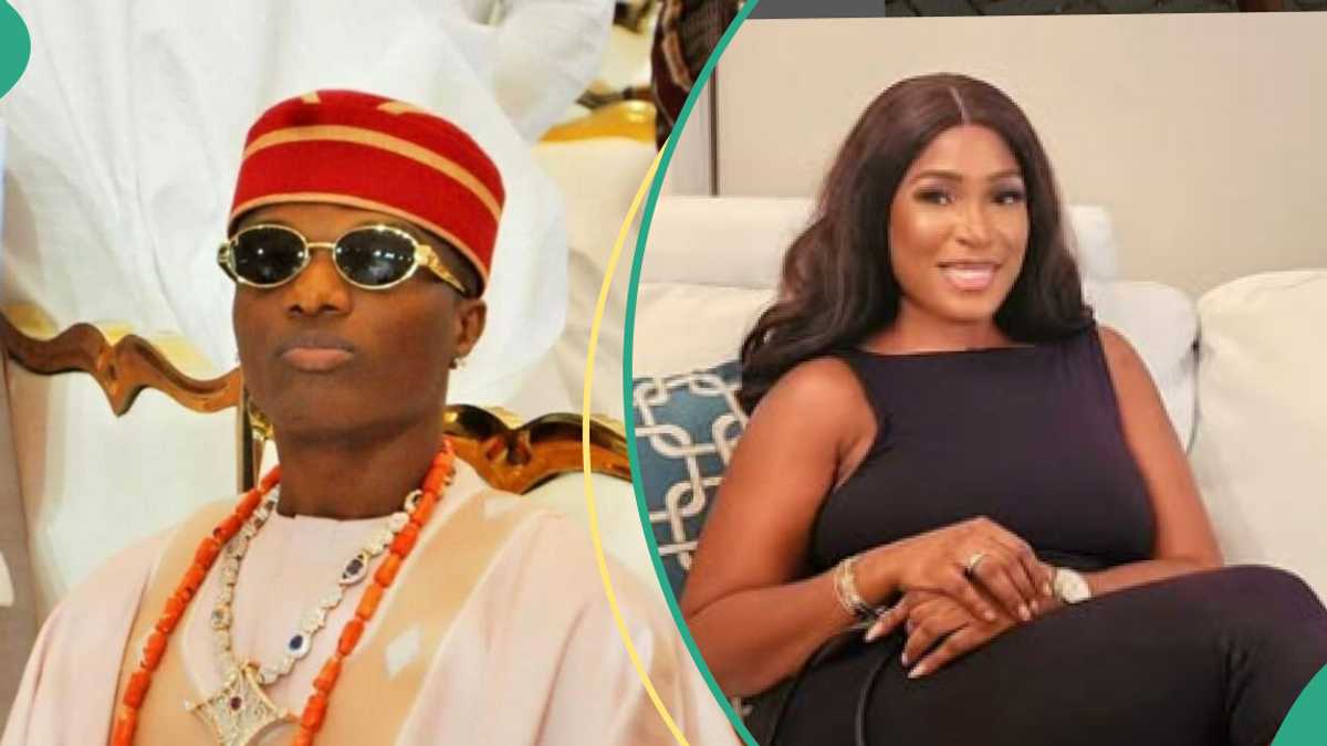 Wizkid vs Linda Ikeji: Fans dig out old posts showing how singer trolled blogger years back