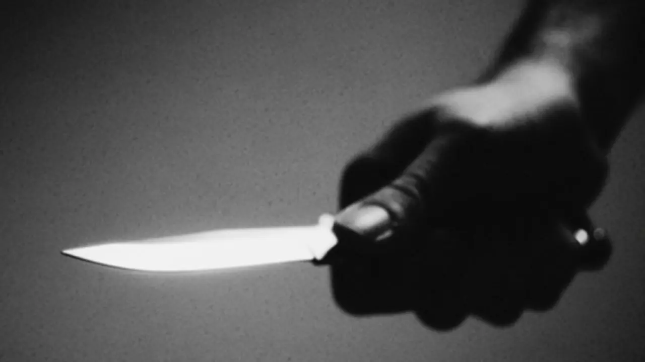 Woman lands in court for stabbing boyfriend with knife