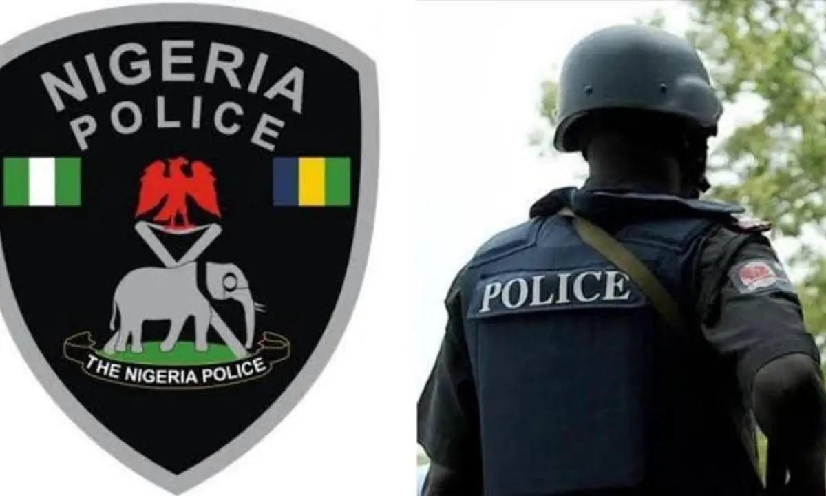 Yobe: Tricycle riders in police net for alleged rape of minor, theft