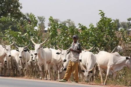 Ƙungiyar Fulani Makiyaya Ta Nuna Damuwarta Na Ɓacewar Mataimakin Shugabanta